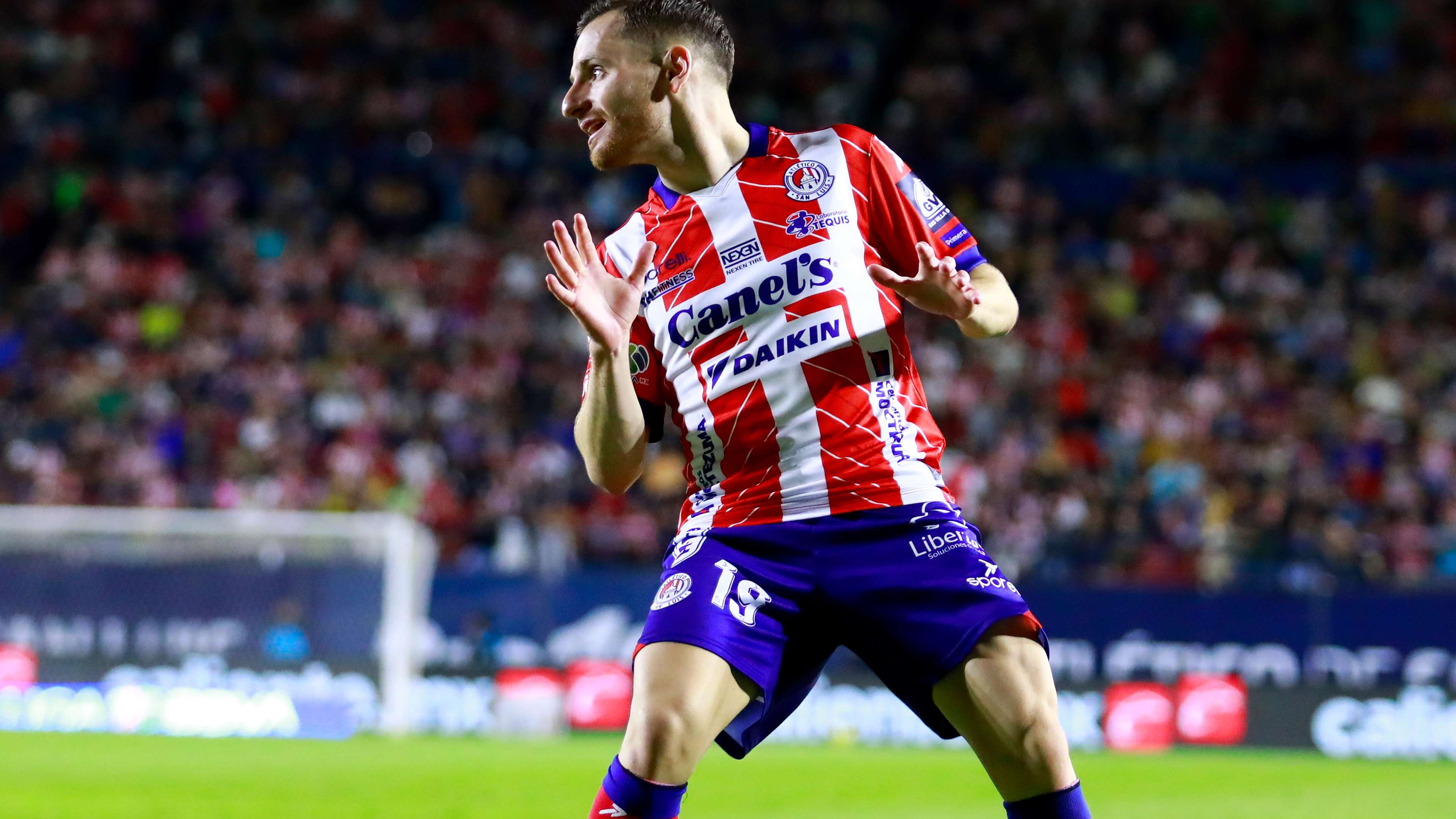 趨勢的佼佼 趨勢的佼佼